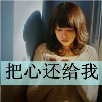 重回荣耀bt手游下载